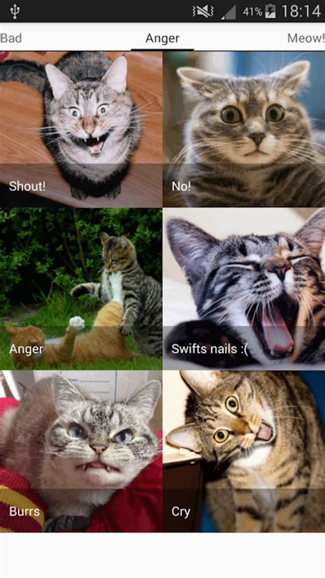 apkcat