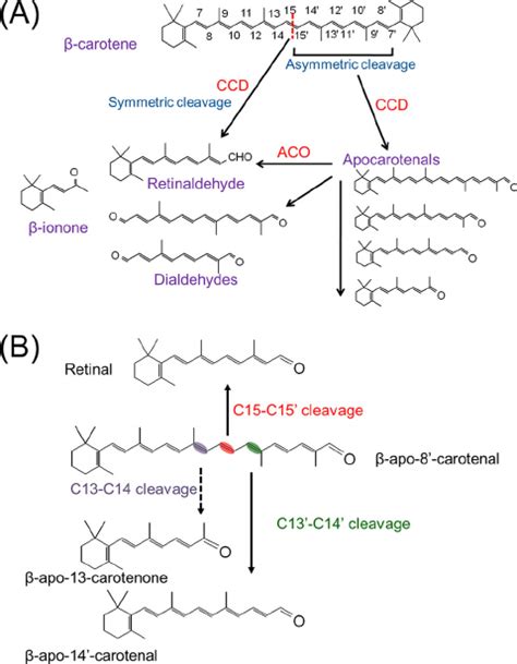 beta-apo-8'-carotenal