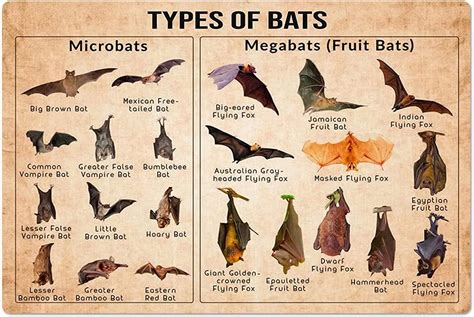 megabagets